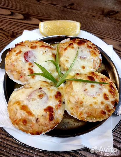 Морской гребешок