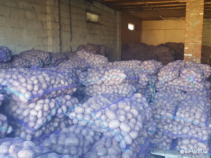 Продам картофель оптом