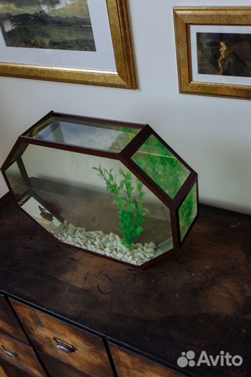 Аквариум для рыбок