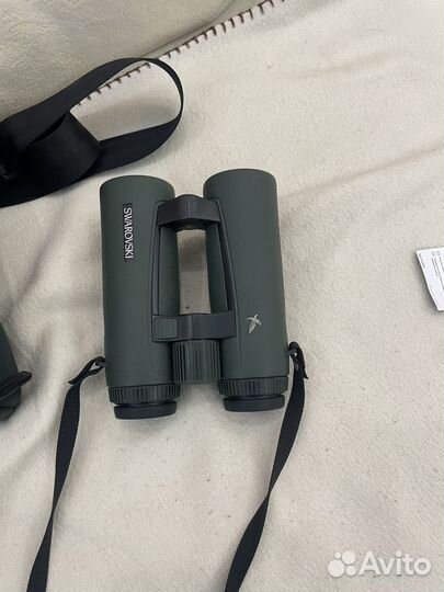Бинокль swarovski 10x42