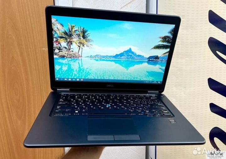 Ноутбуки Много