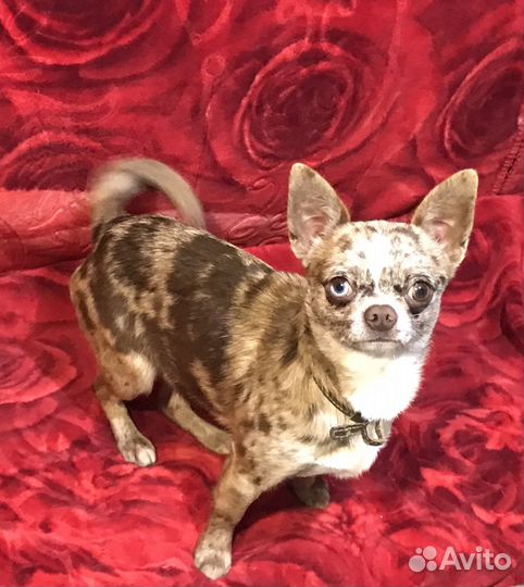 Мальчик с документами