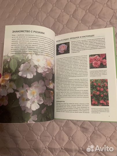 Розы справочник, все цветы на вашем участке