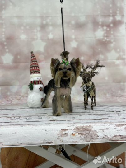 Комплексная процедура груминга