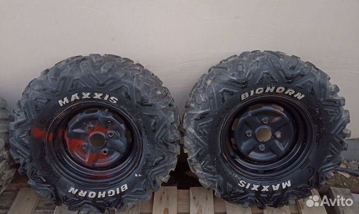 Maxxis bighorn 2.0