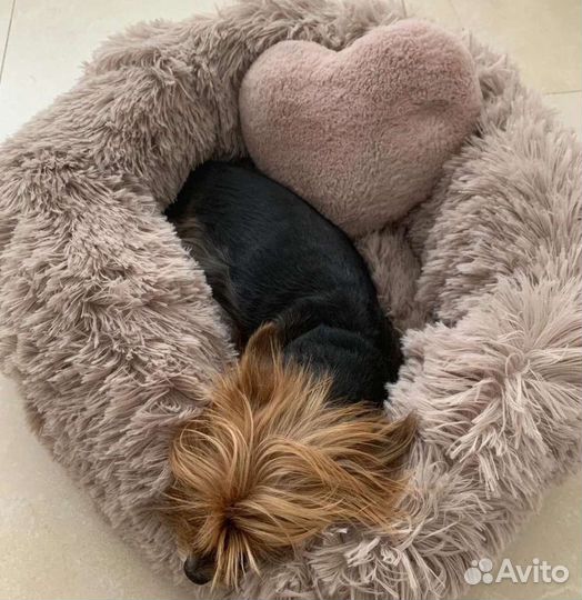 Кровать для домашних любимцев Сплюшка