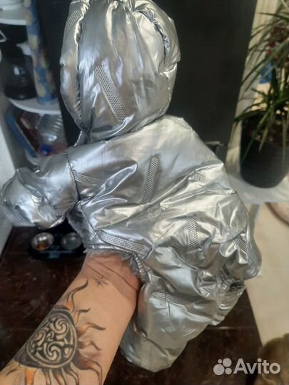 Комбинезон маленькой собаки