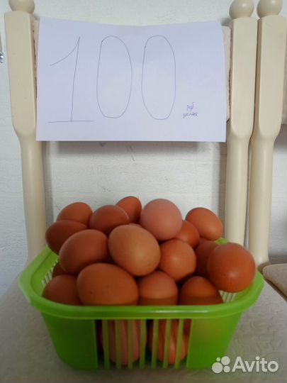 Домашние куриные яйца