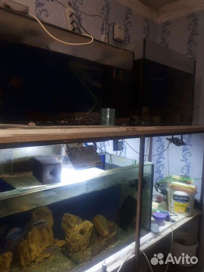 Аквариум