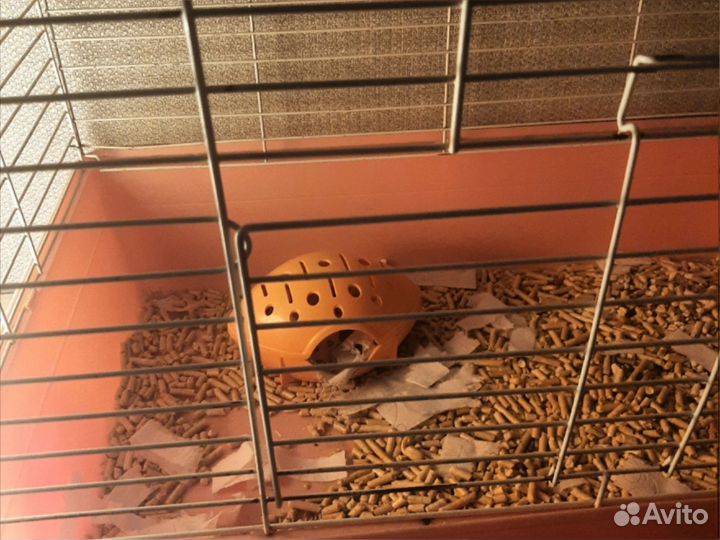Клетка для грызунов большая