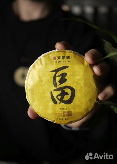 Шу Пуэр Богатство Tea Station / 100 гр