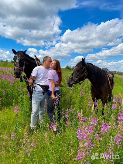 Конные прогулки