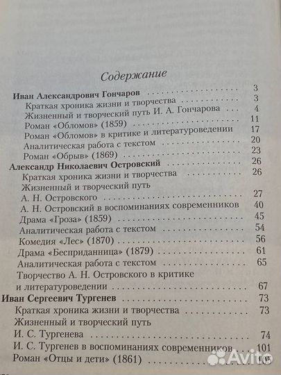 Русская литература XIX века. 10 класс. Часть 2