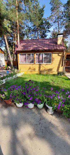 Дом 187 м² на участке 20 сот.