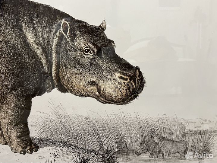 Интерьерная картина большая