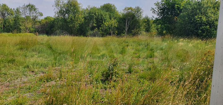 Участок 20 сот. (СНТ, ДНП)