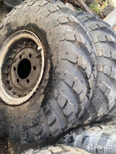 Колеса газ 66 в сборе