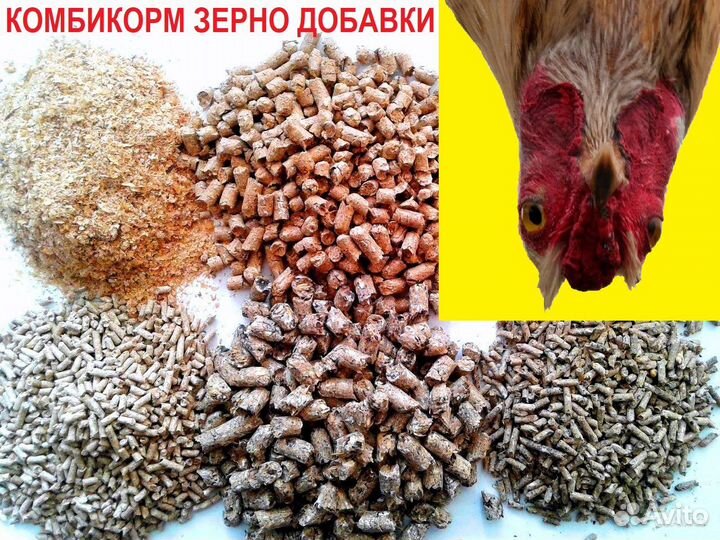 Комбикорма для кур, бройлеров, кролик, индейка