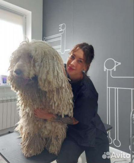 Грумминг, стрижка собак и кошек