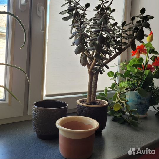 Горшок кашпо керамика