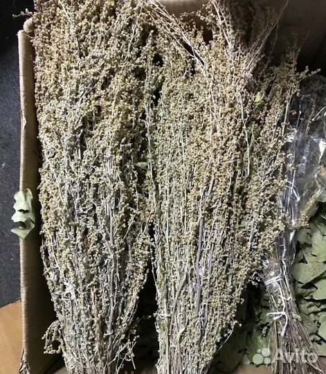 Веники из полыни для бани