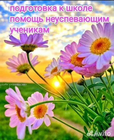 Логопед-дефектолог-нейропсихолог