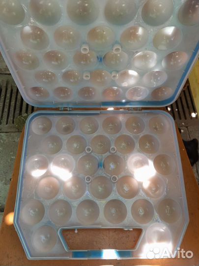 Ячейки контейнер для яиц