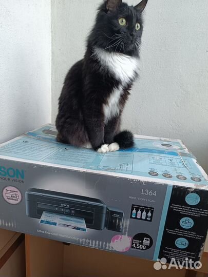 Мфу Принтер epson l364 бу