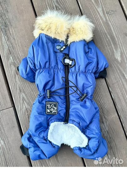 Комбинезон зимний для мелкой(средней) собаки