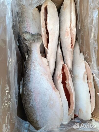 Рыба красная, икра +Бесплатная доставка