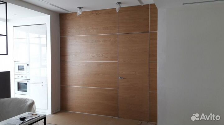 Двери межкомнатные скрытые экошпон