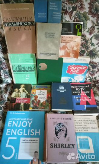 Рус.яз,лит-ра, иностр.языки, филос-я