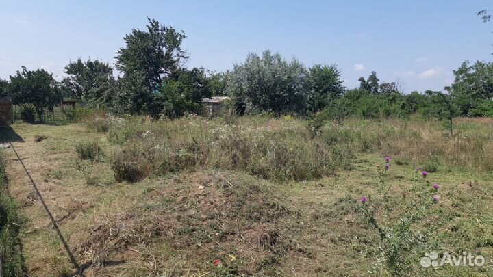 Покос травы. Спил кустарников