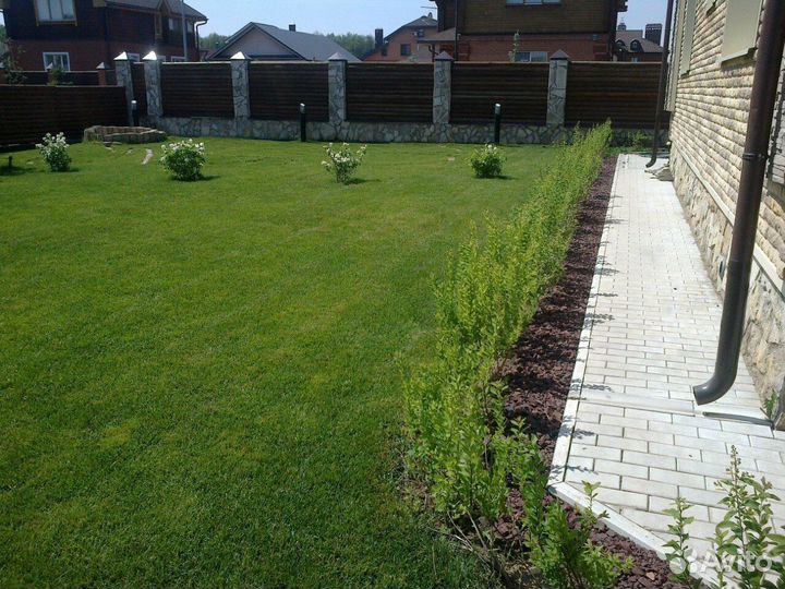 Продажа Рулонного газона