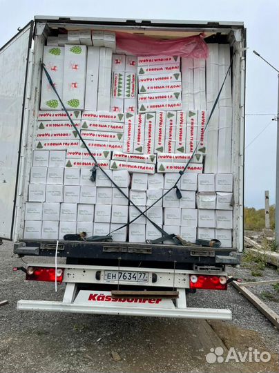 Искусственные ёлки оптом