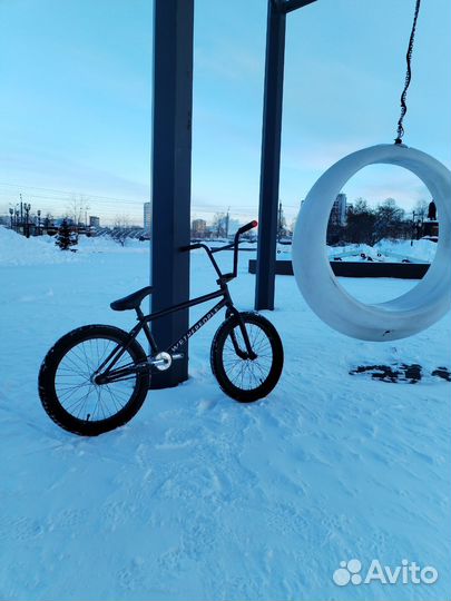 Bmx wtp reason 2020г