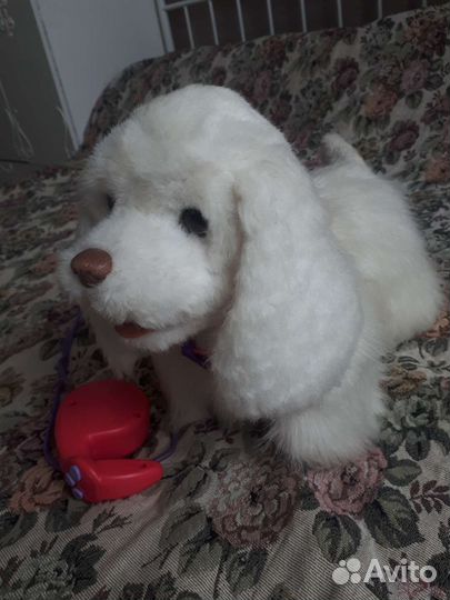 Интерактивная собака