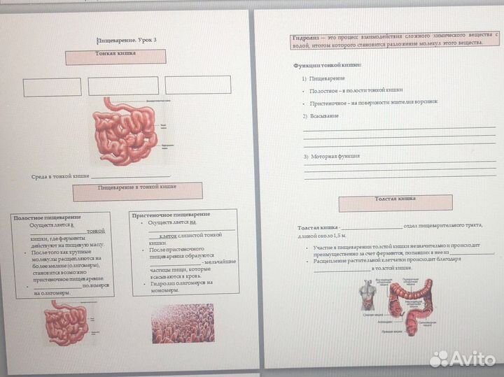 Репетитор по биологии огэ