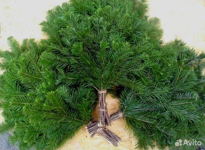 Веники для бани пихта