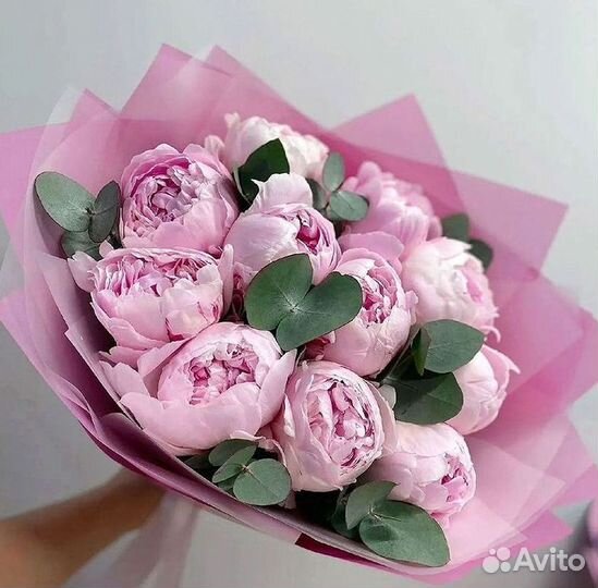 Пионы Букет пионов