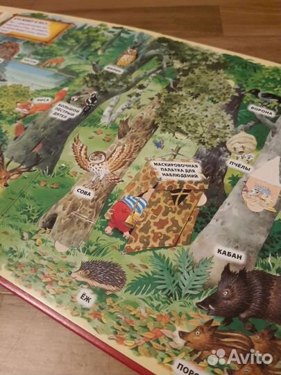 Книга с окошками 