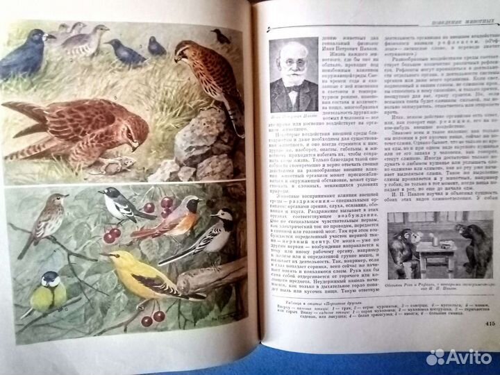 Детская советская энциклопедия,Растения и животные