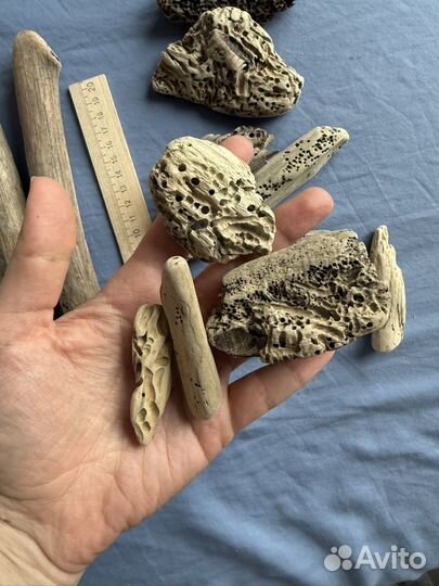 Дрифтвуд набор