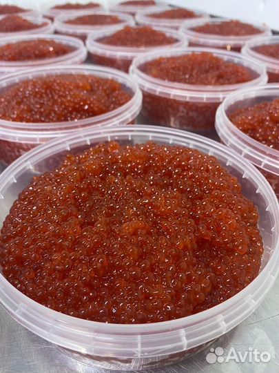 Икра красная вылоа июль 2023 год
