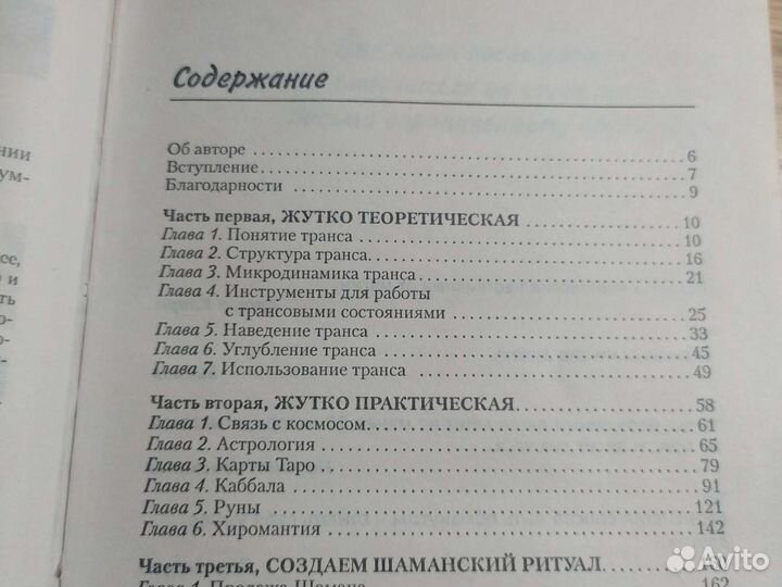 Шаман в большом городе