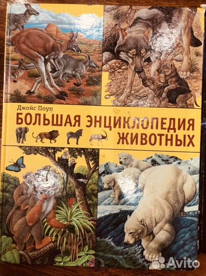 Книги энциклопедия для детей