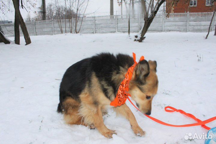 Милена добрая, нежная и робкая