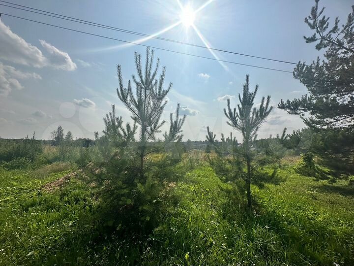 Участок 14,6 сот. (ИЖС)