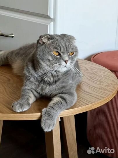 Кофейный столик для кухни