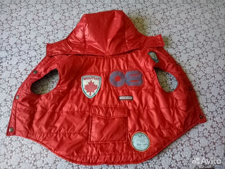 Разная одежда на собак средних пород